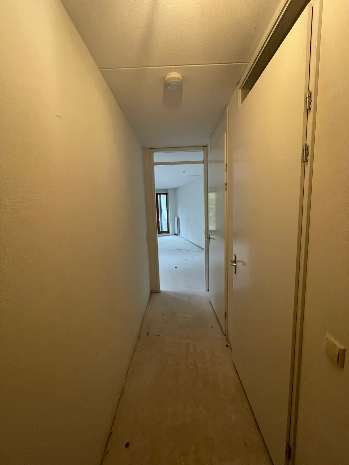 Image 2 of 17