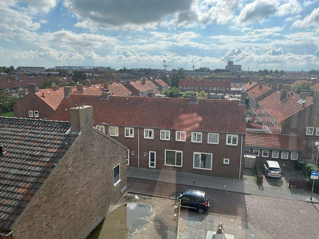 Afbeelding 3 van 4