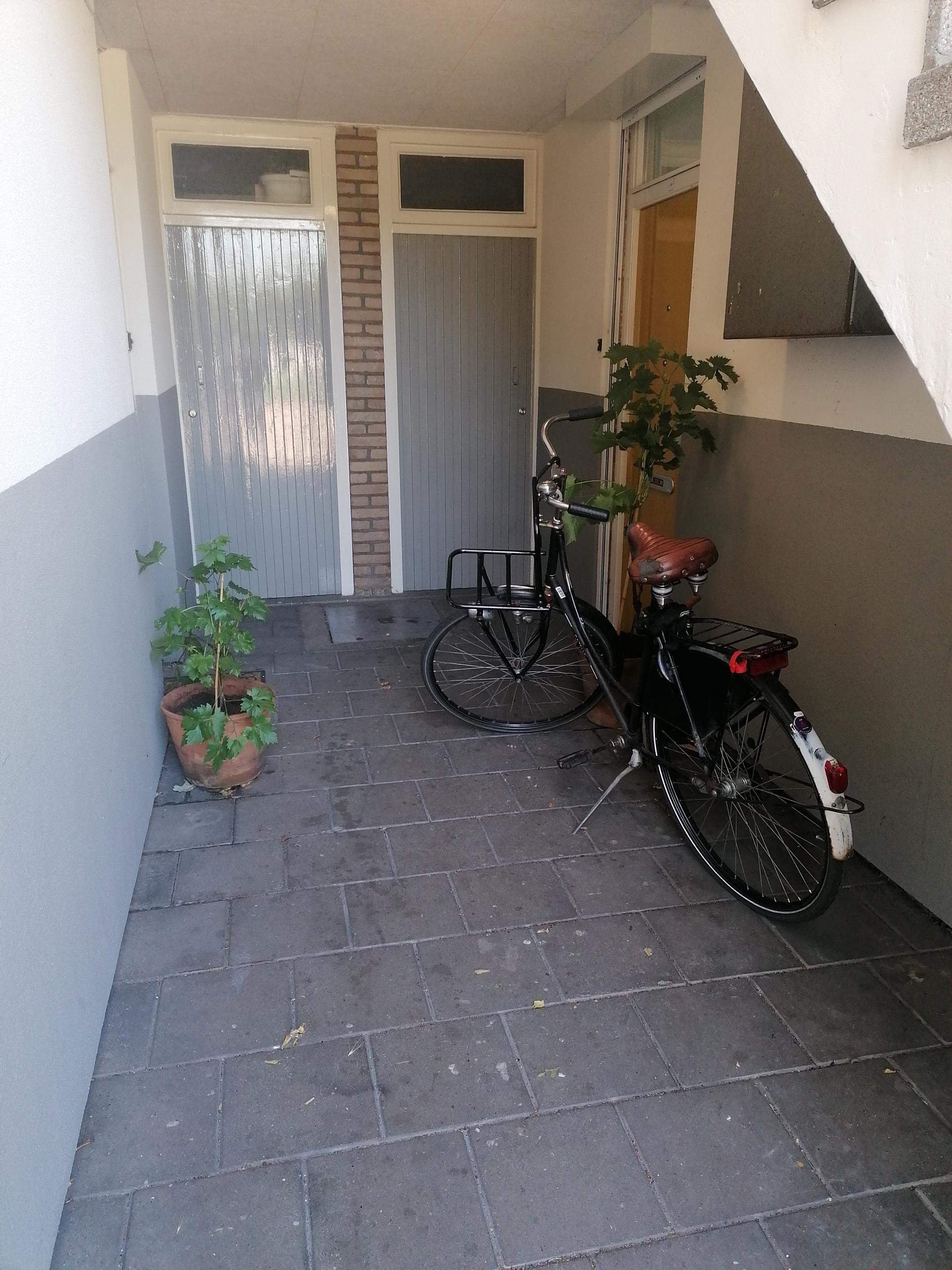 Image 2 of 10