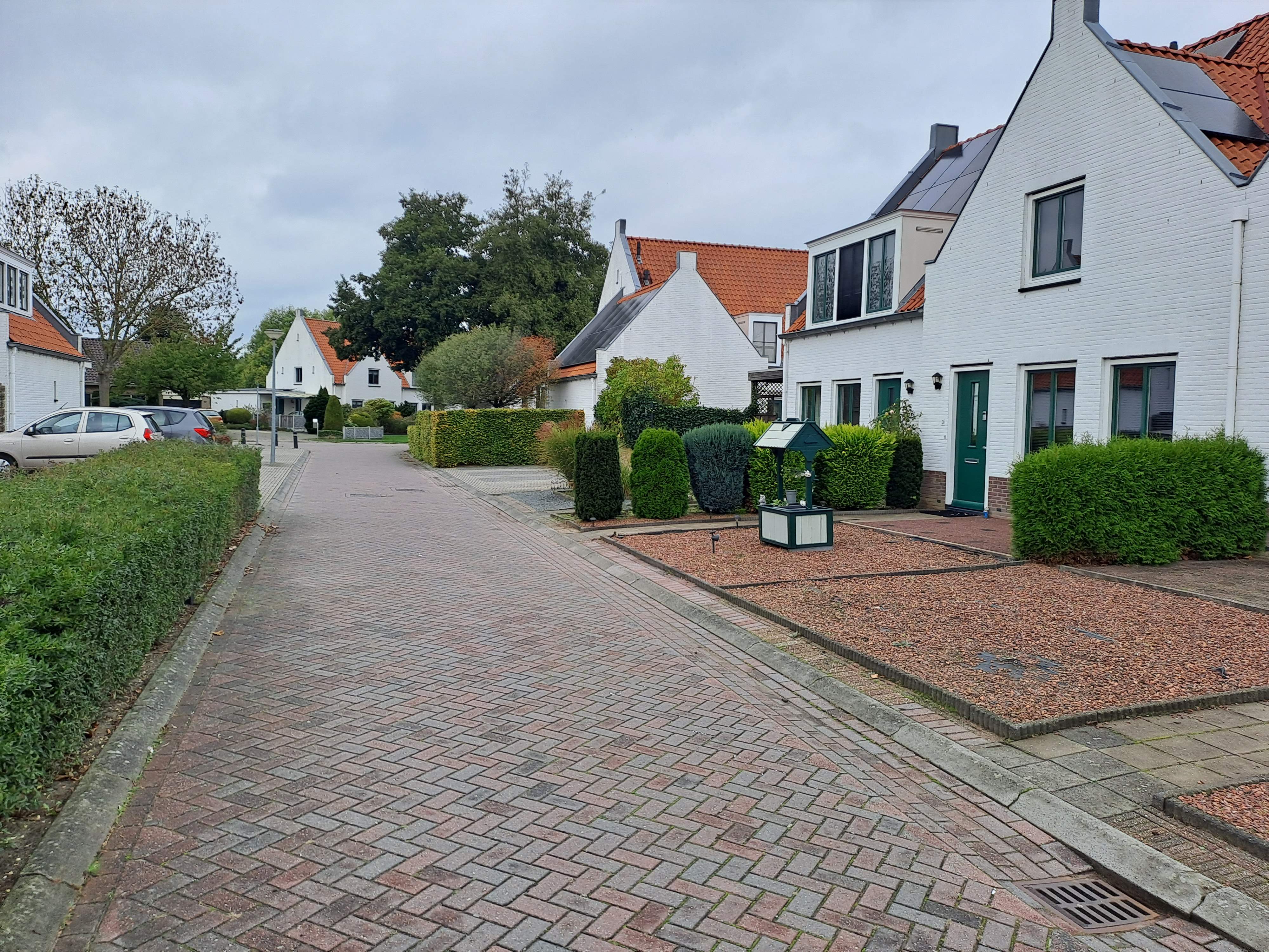 Afbeelding 2 van 3