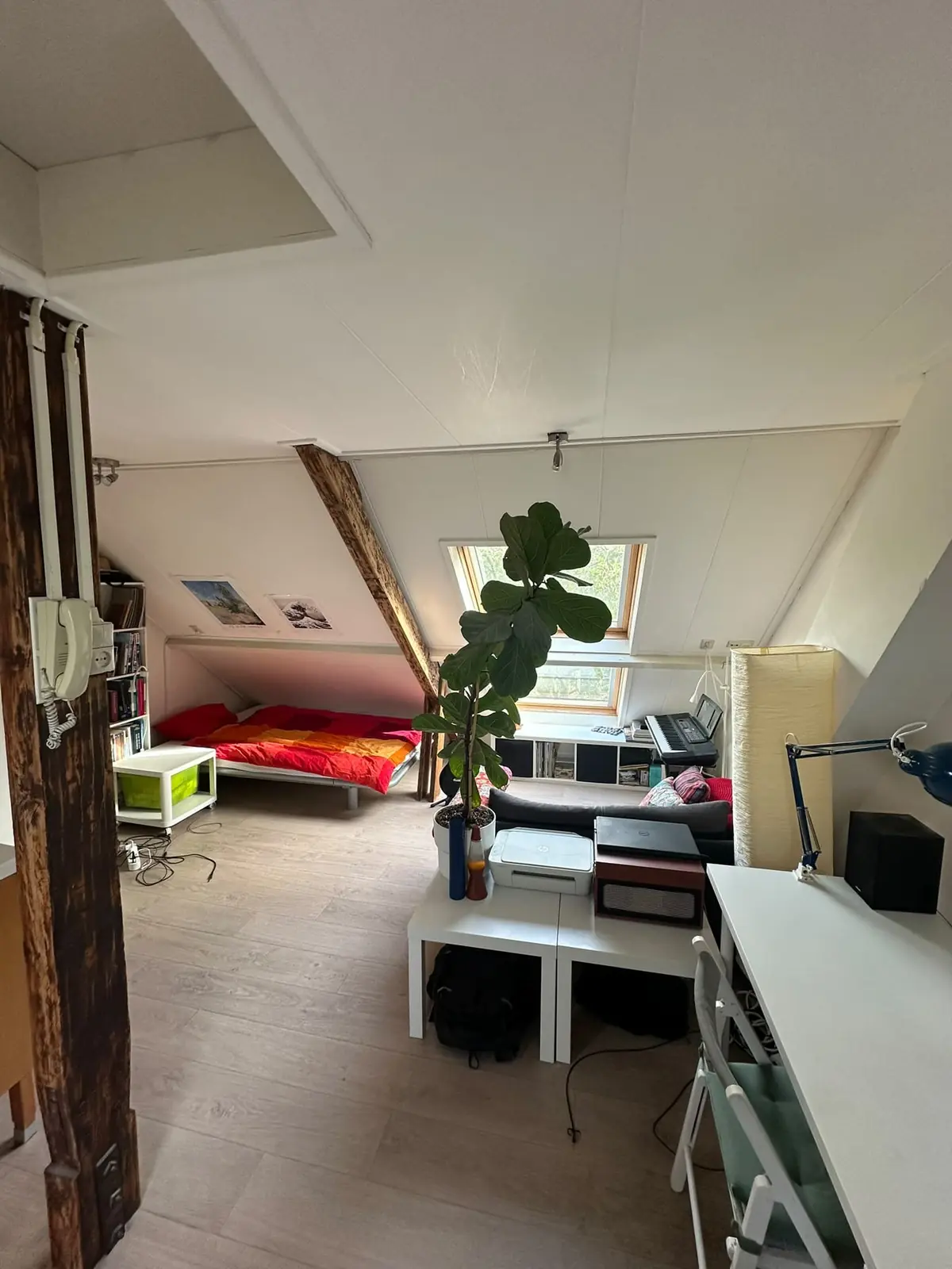 Image 2 of 10