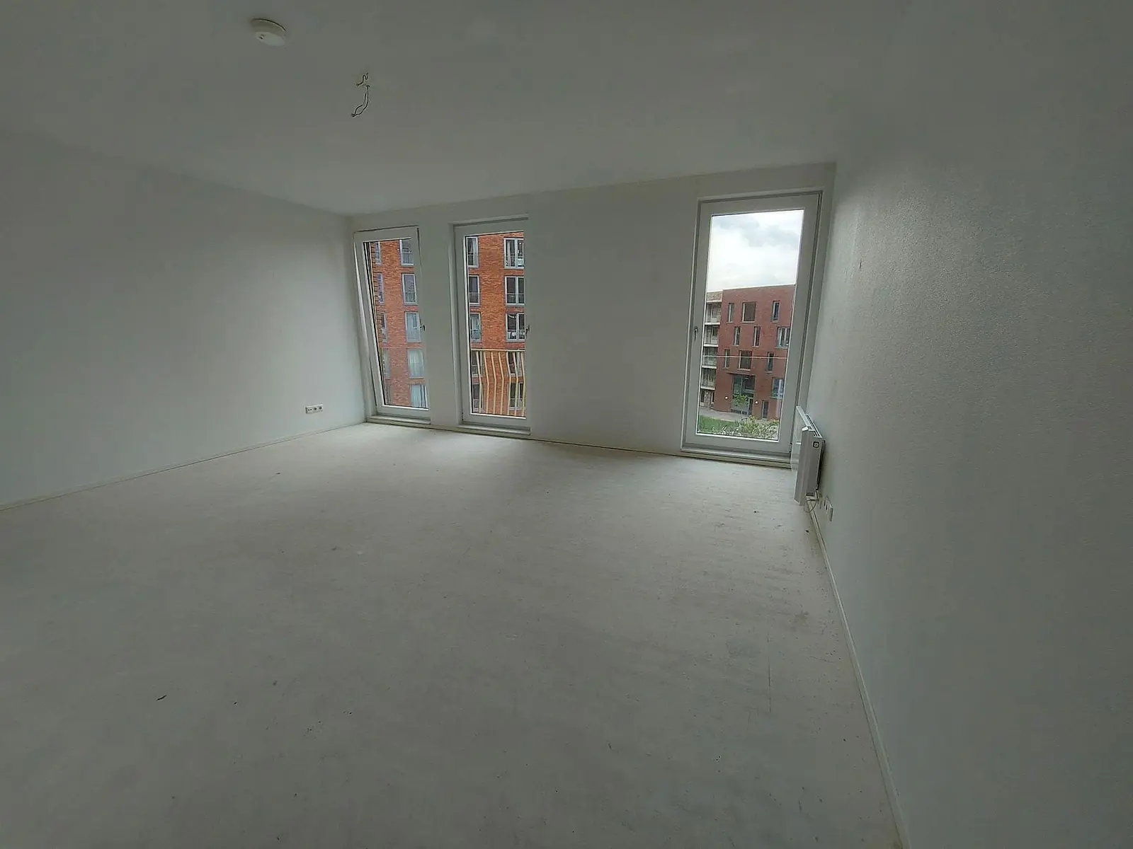 Image 8 of 8