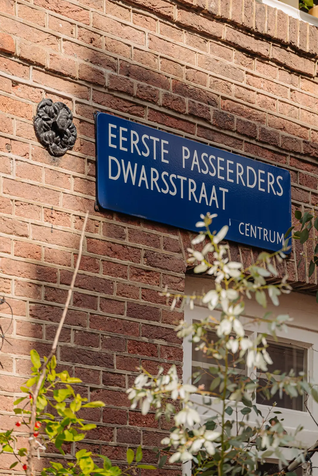 Afbeelding 54 van 61