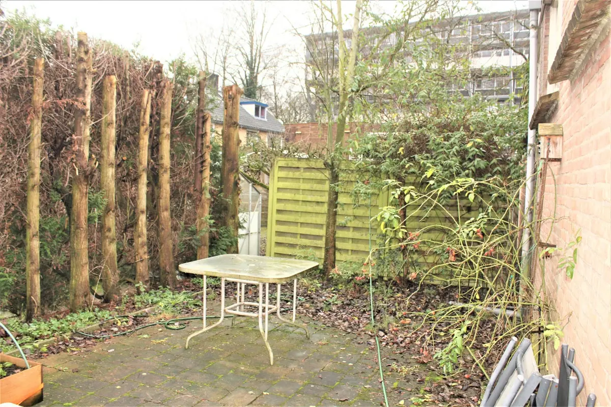 Afbeelding 14 van 16