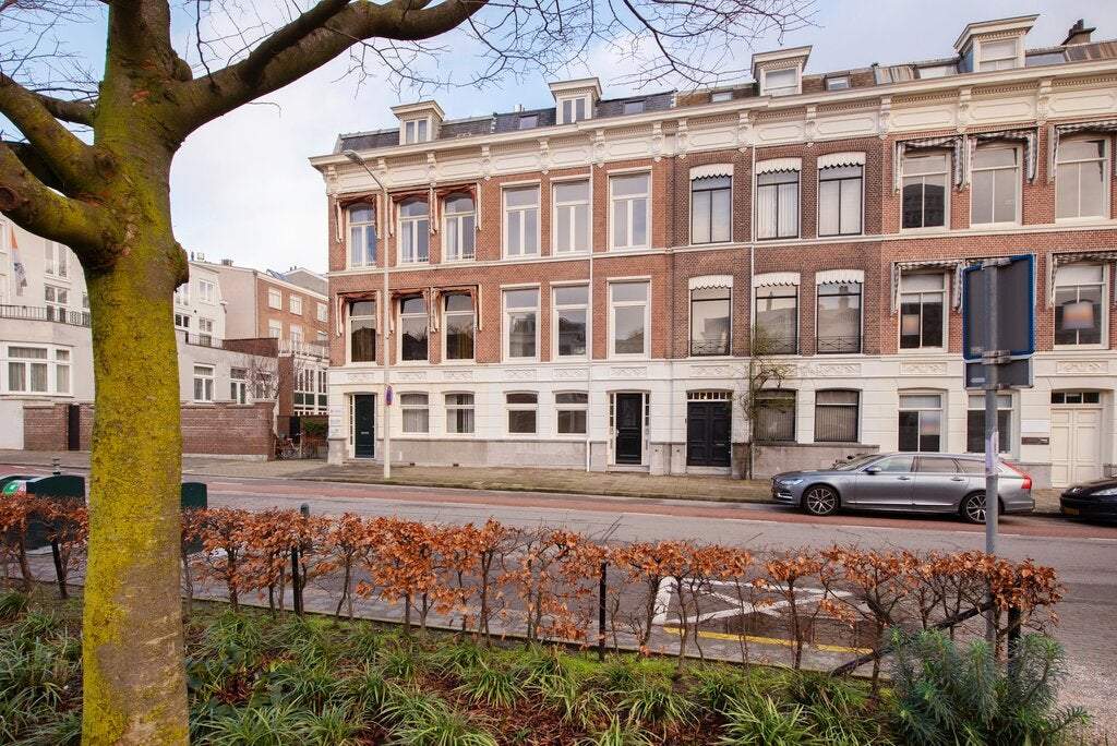Afbeelding 2 van 45