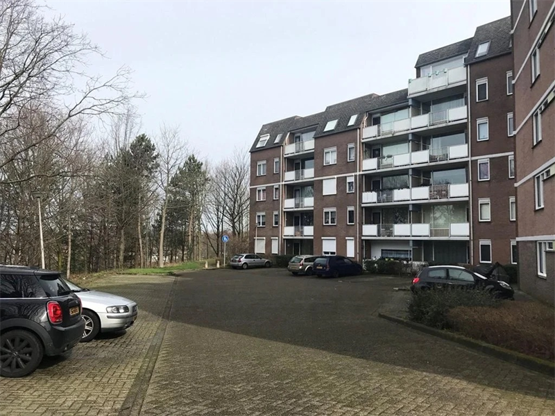 Image 10 of 11