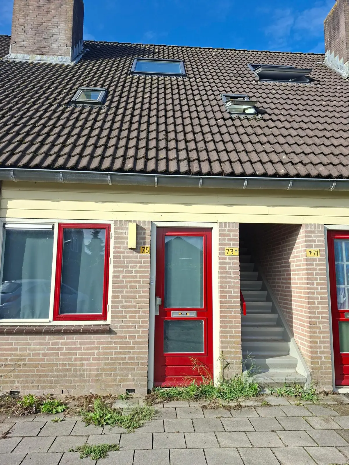 Image 1 of 12