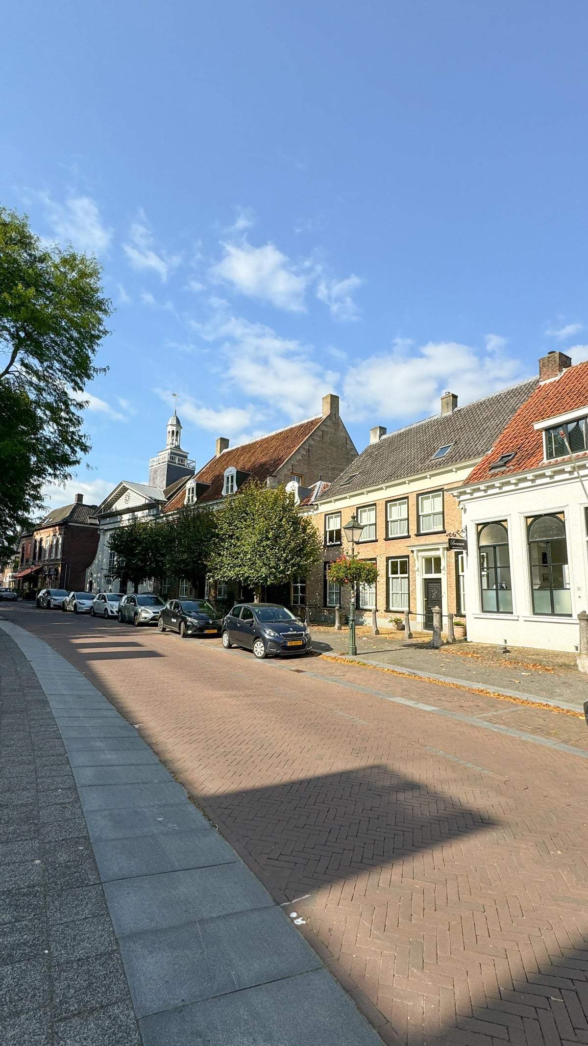Afbeelding 1 van 12