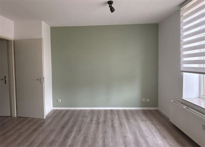 Image 4 of 8