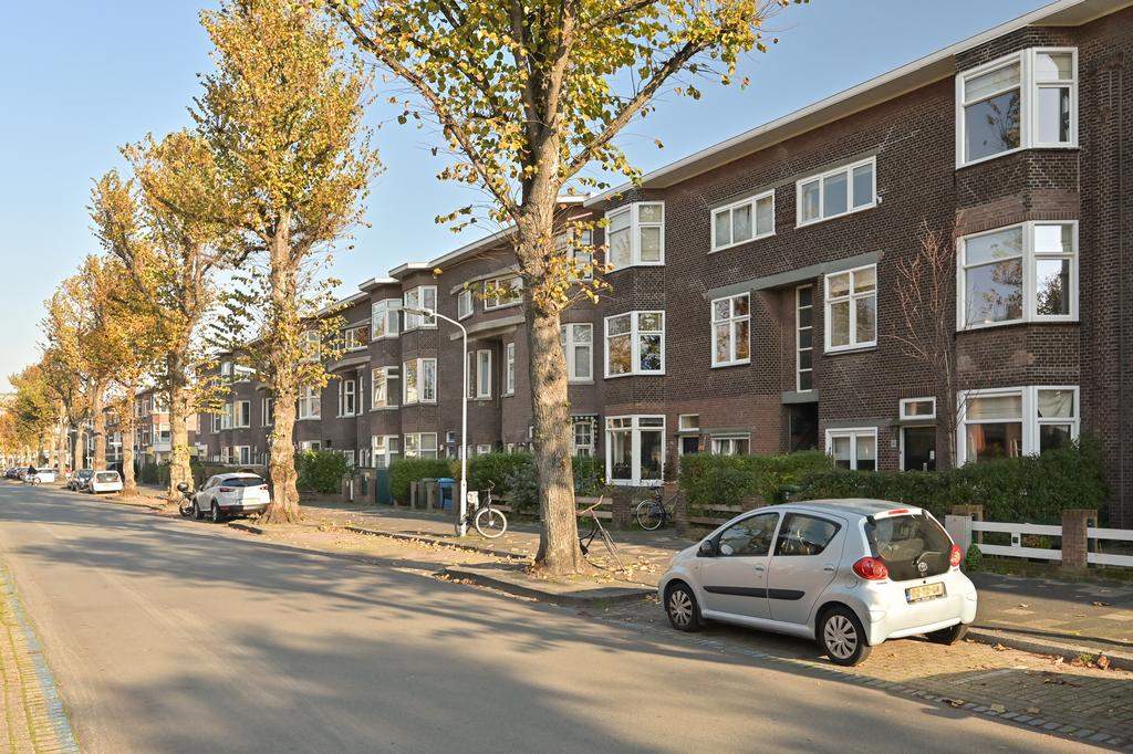 Afbeelding 2 van 12