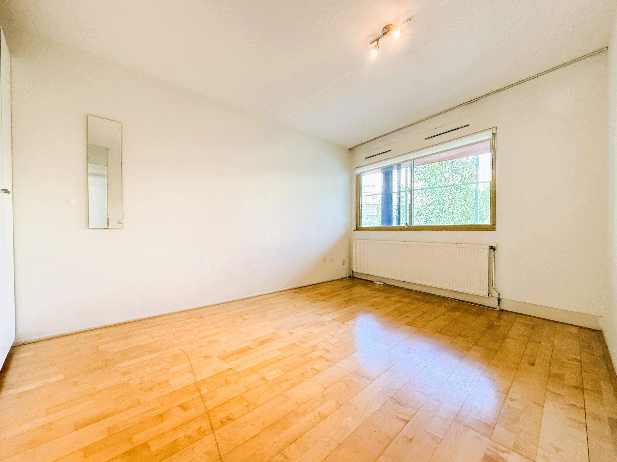 Image 12 of 24