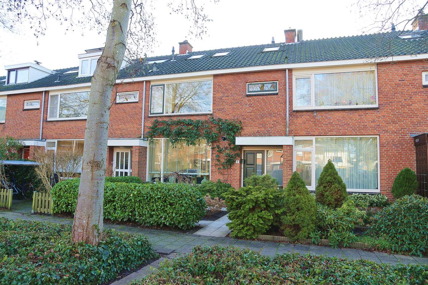 Afbeelding 1 van 12