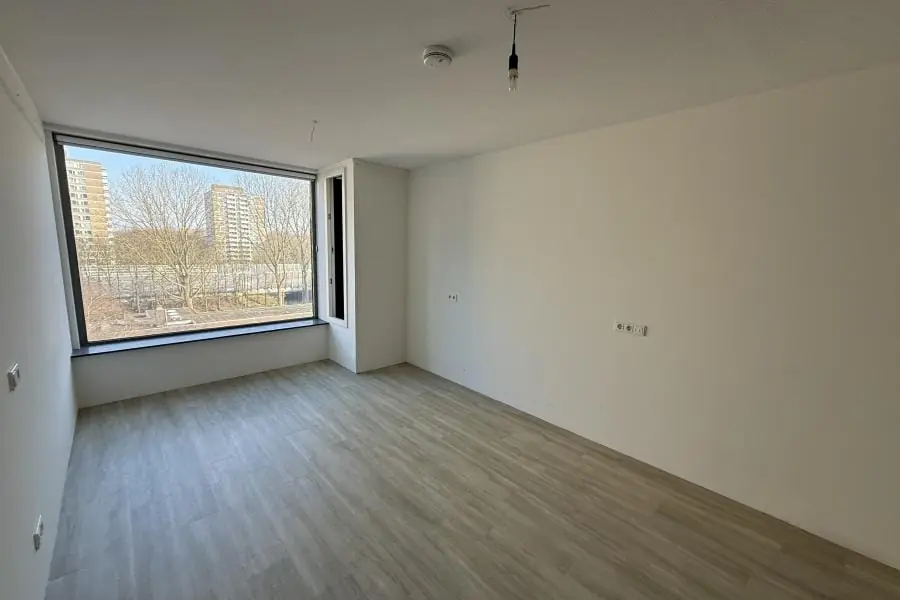 Image 10 of 20