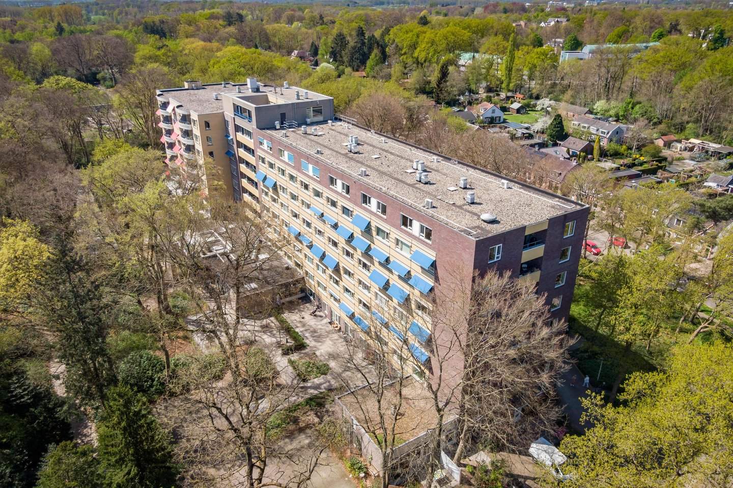 Afbeelding 1 van 9