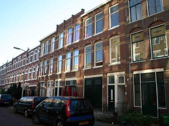 Afbeelding 1 van 13