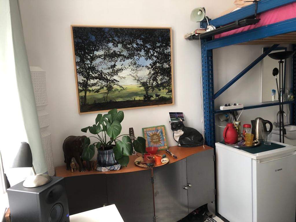 Image 3 of 16