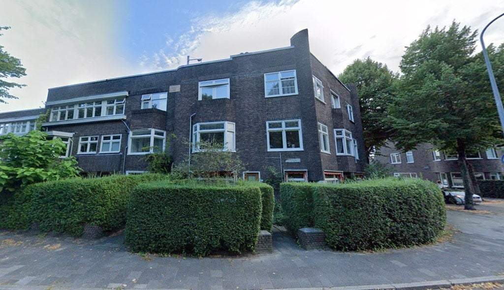 Afbeelding 1 van 13
