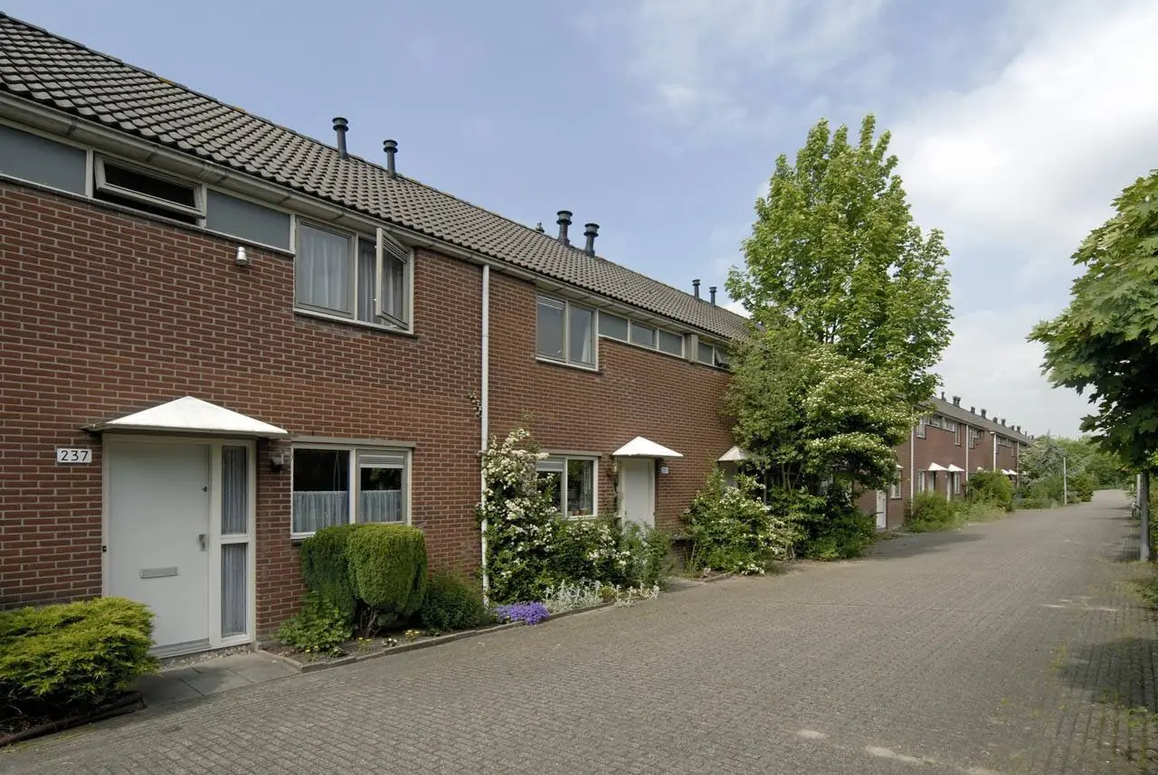 Image 19 of 19
