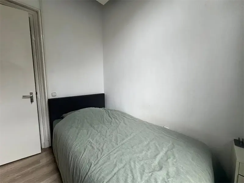 Imagen 7 de 12