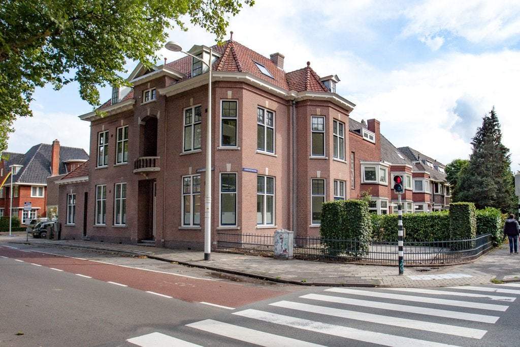 Afbeelding 1 van 20