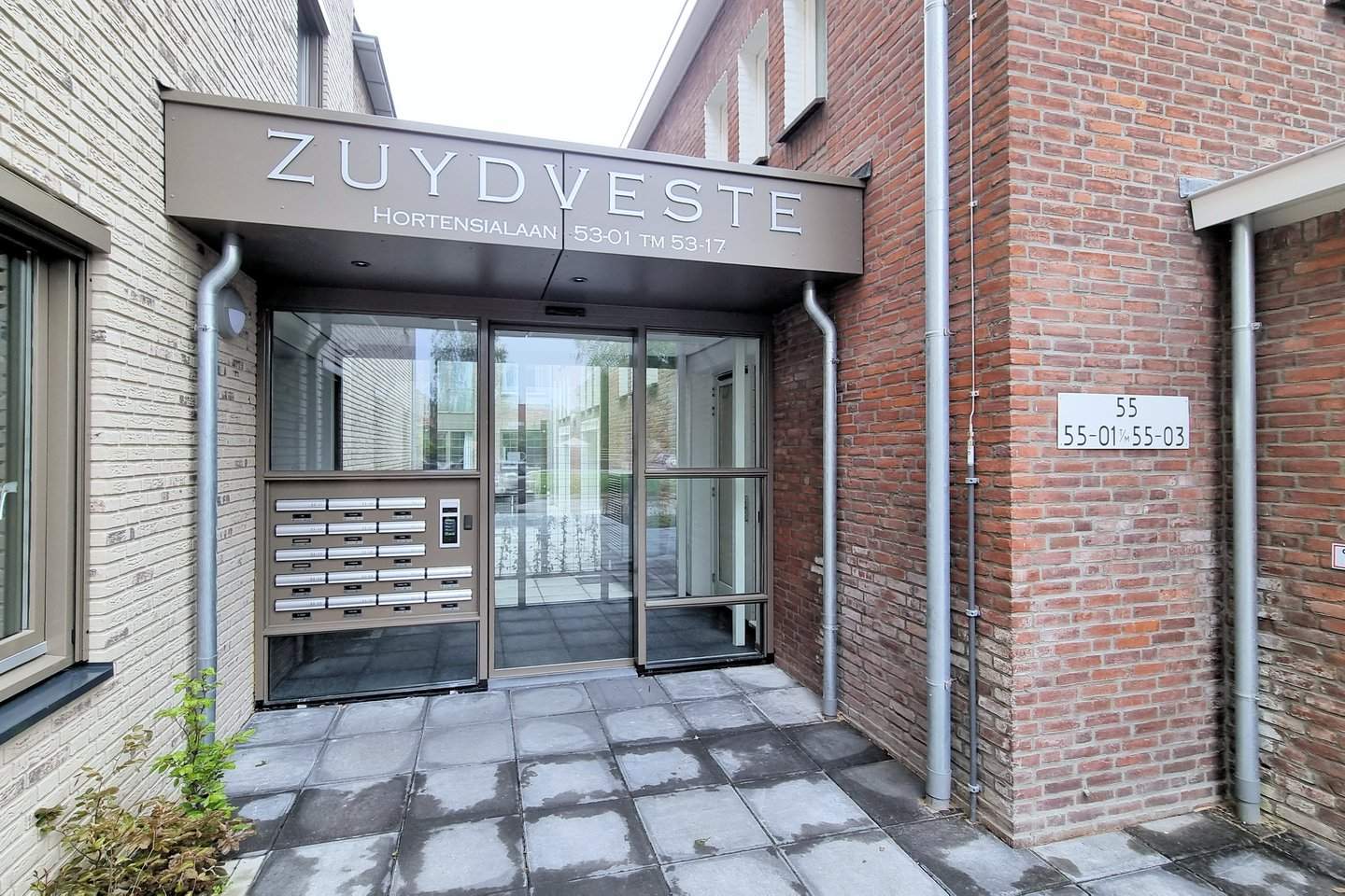 Afbeelding 3 van 12