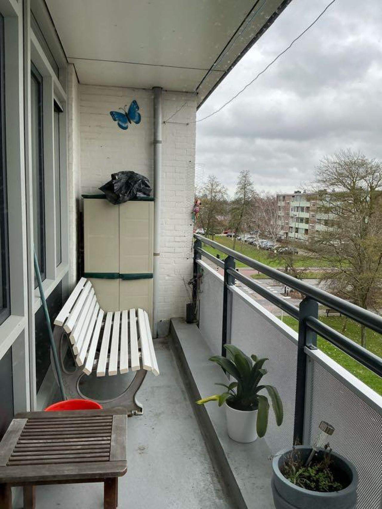 Image 6 of 9