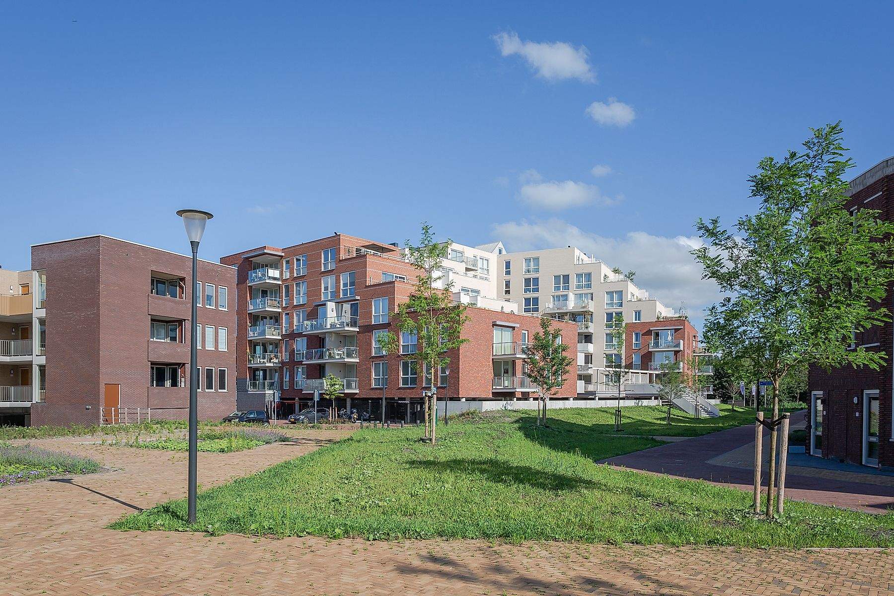 Afbeelding 1 van 8