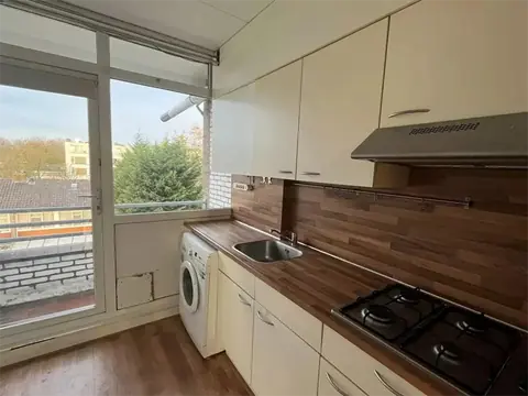 Habitación en Miltonstraat, Rotterdam - En alquiler