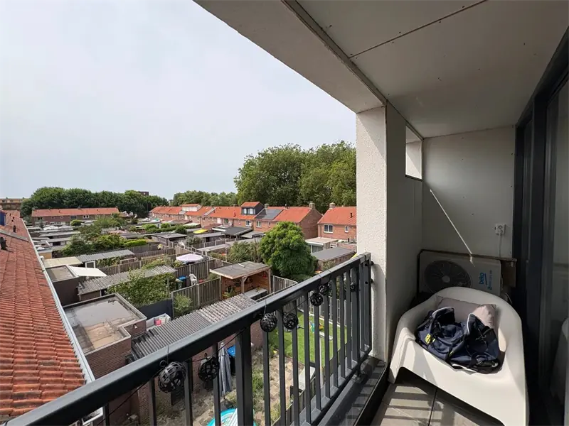 Afbeelding 12 van 13