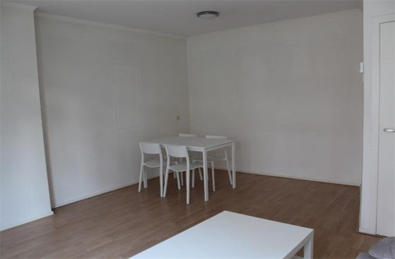 Image 2 of 12