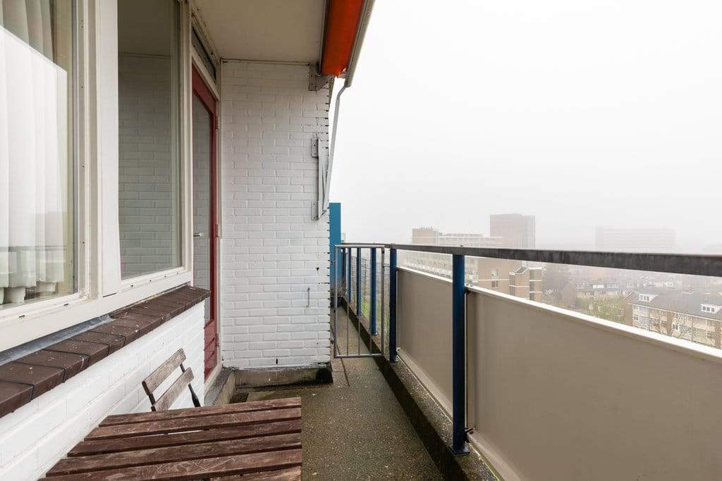 Image 19 sur 36