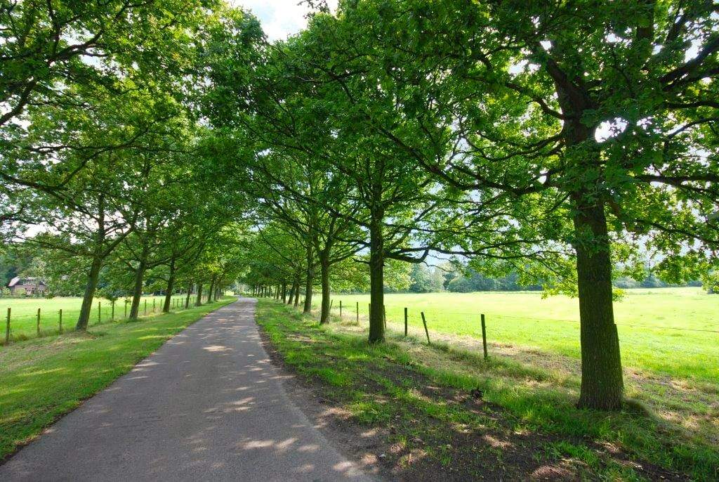 Image 2 of 44