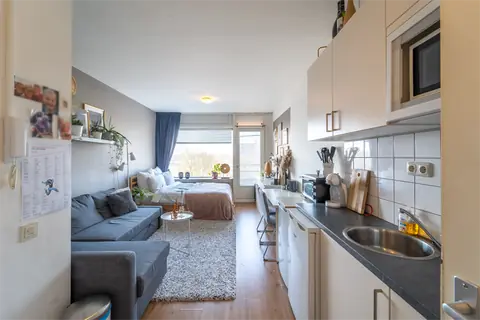 Studio Populierenlaan, Selwerd, Groningen - À louer