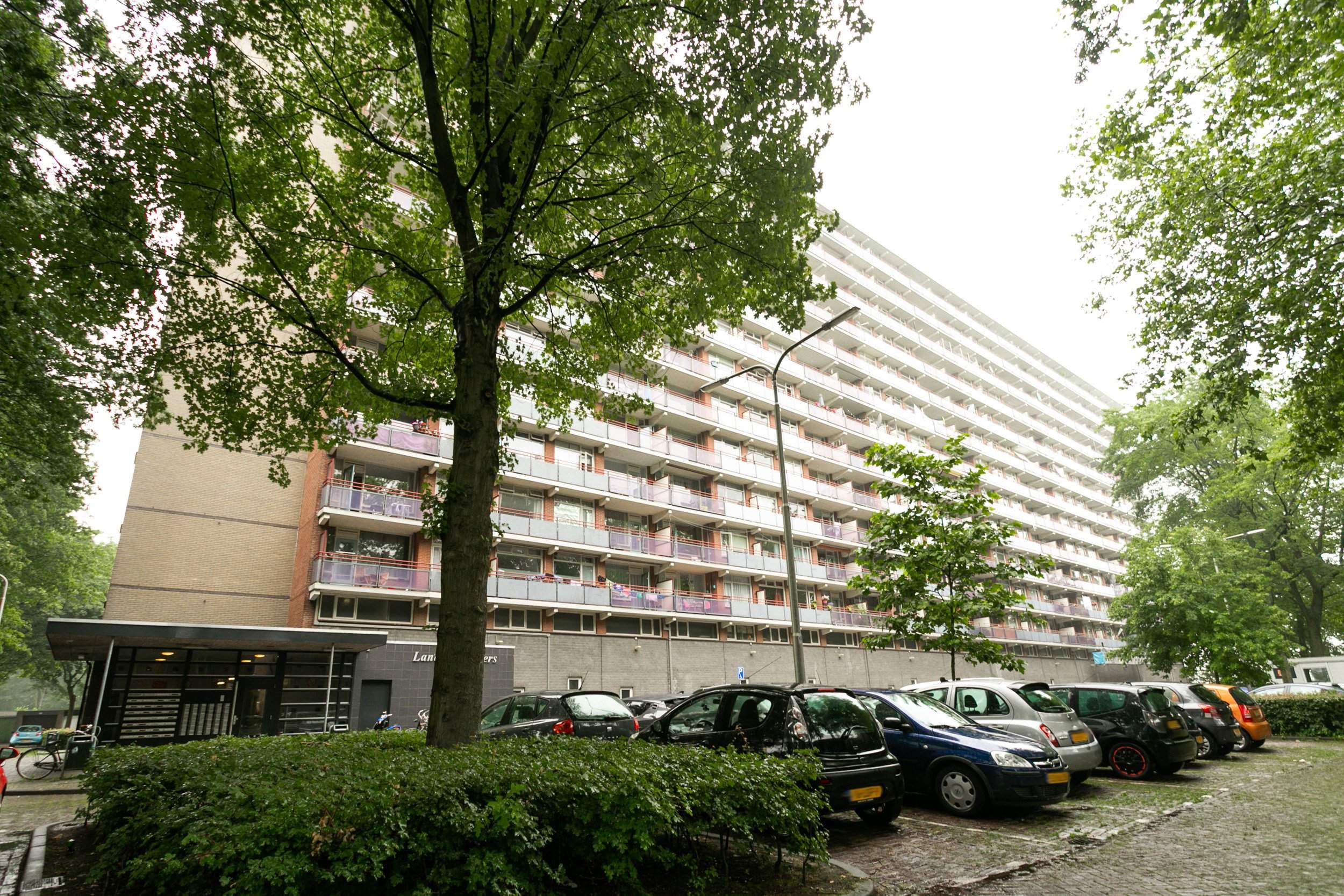 Image 1 of 14