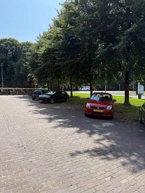 Bild 3 von 18