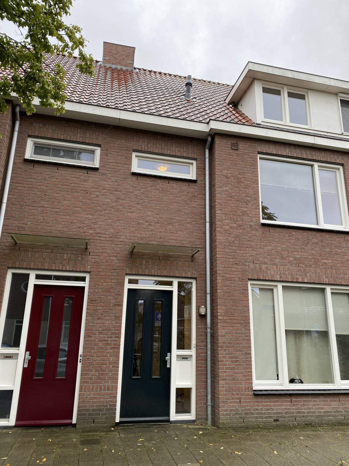 Afbeelding 1 van 20