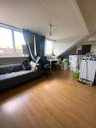 Image 3 of 10