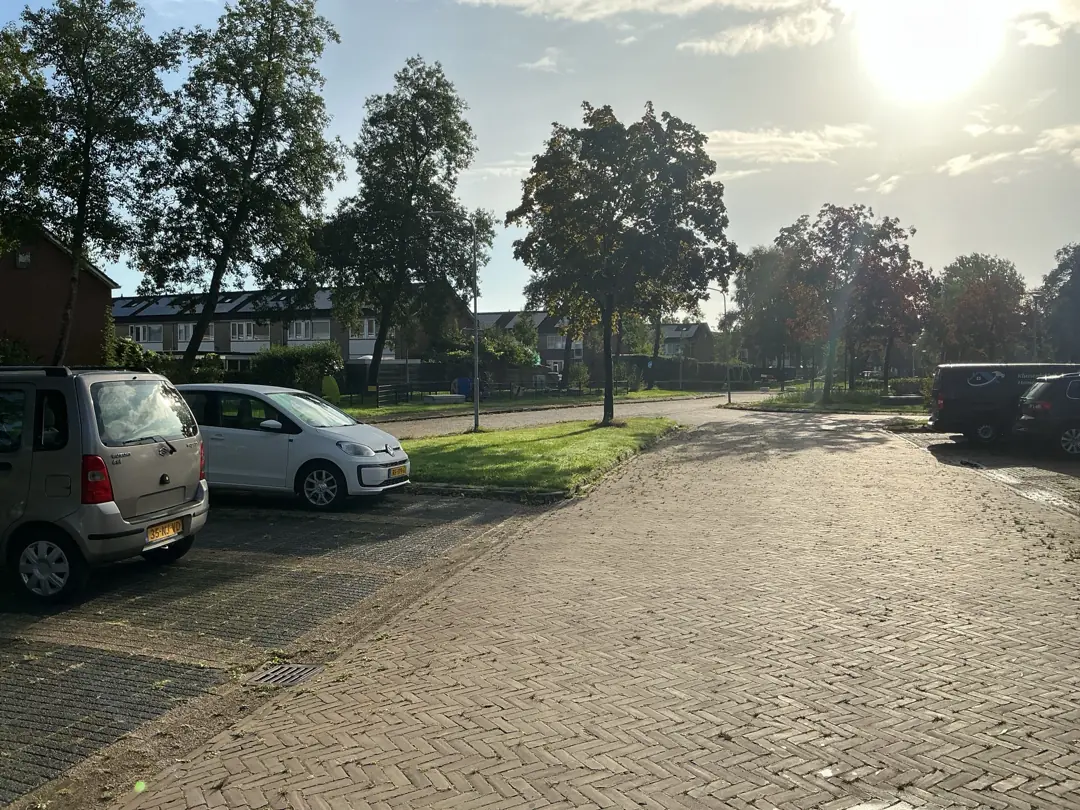 Afbeelding 5 van 5