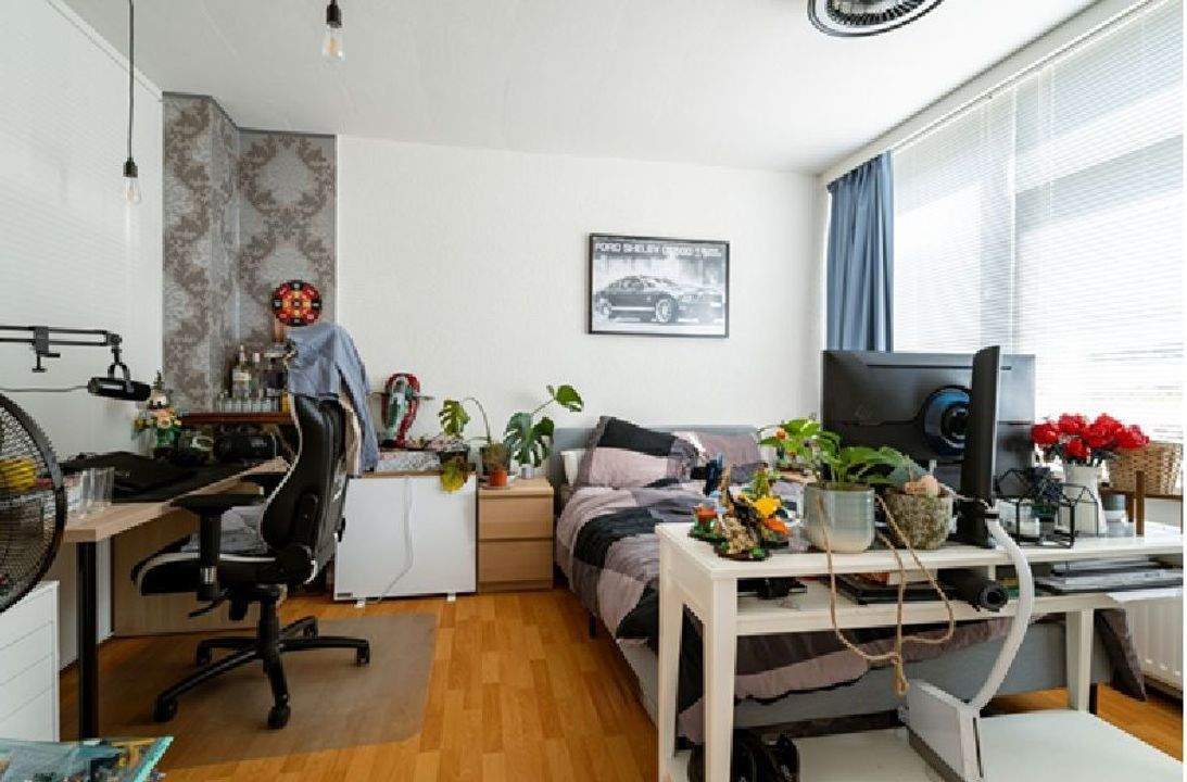 Bild 4 von 11