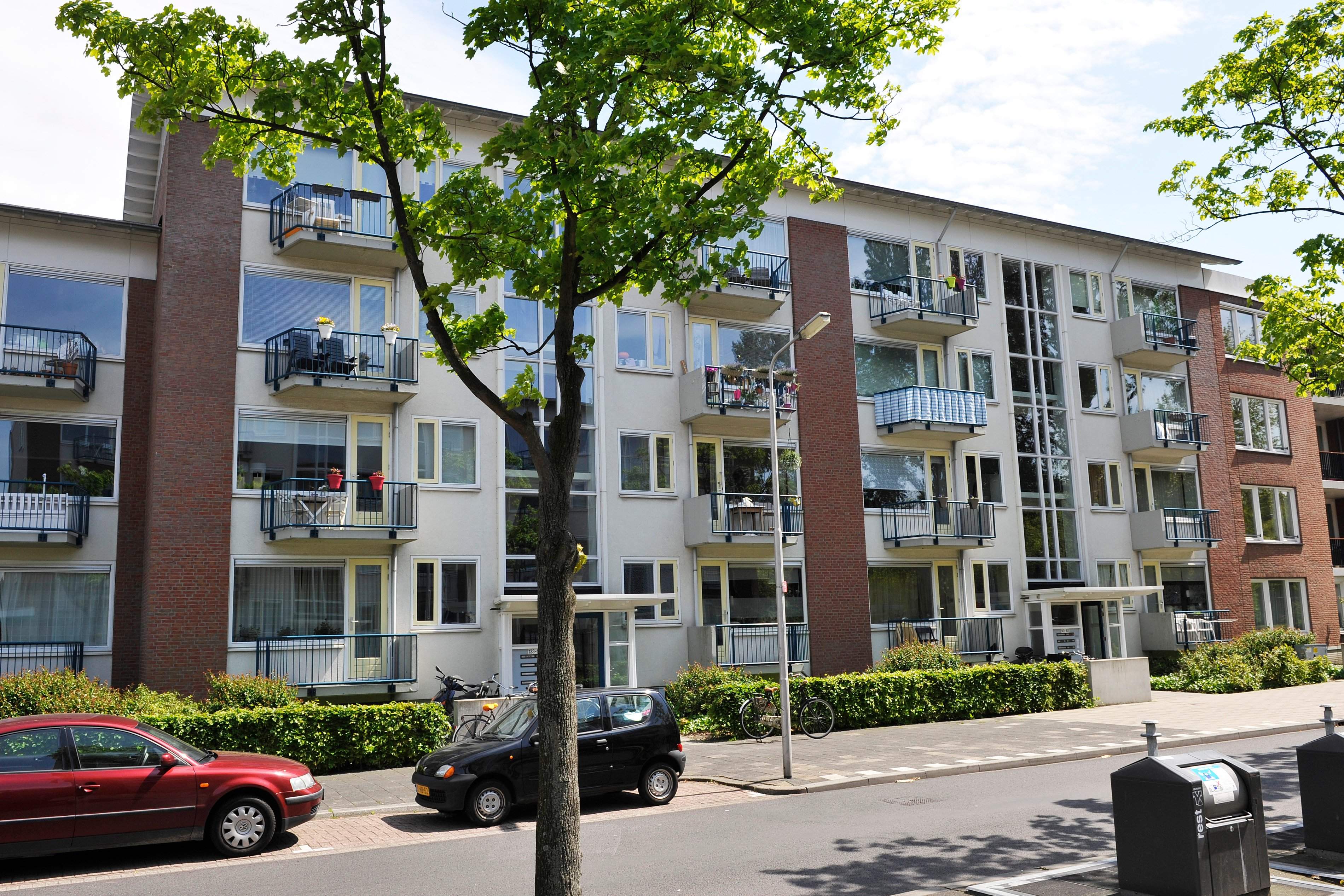 Afbeelding 2 van 3
