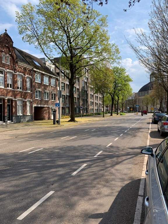 Afbeelding 3 van 11