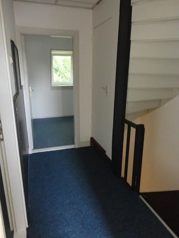 Image 6 of 14