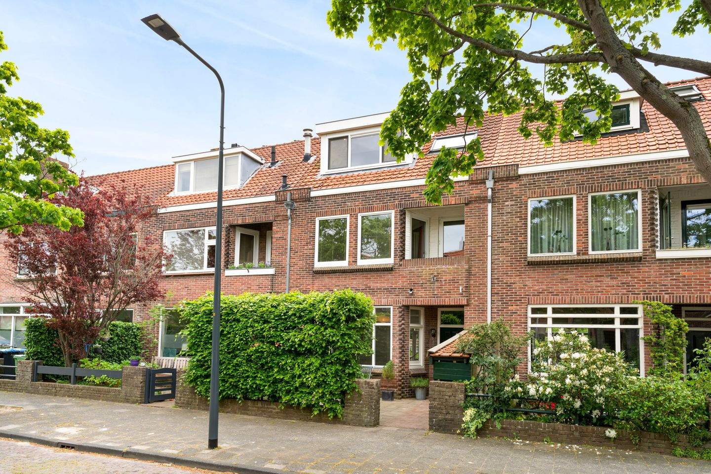 Afbeelding 1 van 12