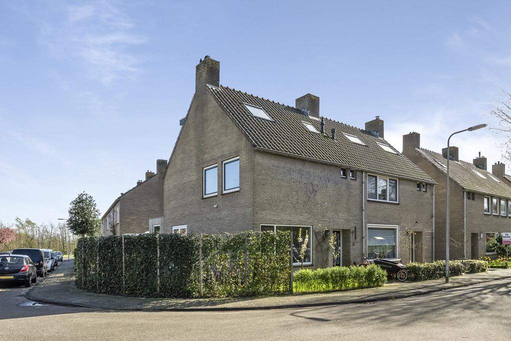 Afbeelding 1 van 38