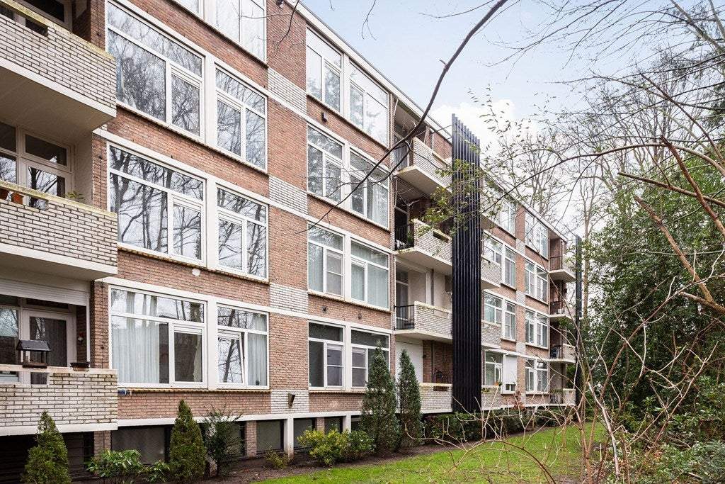 Afbeelding 3 van 23