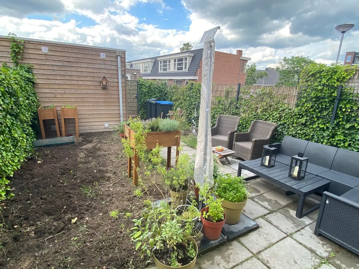 Image 12 of 12