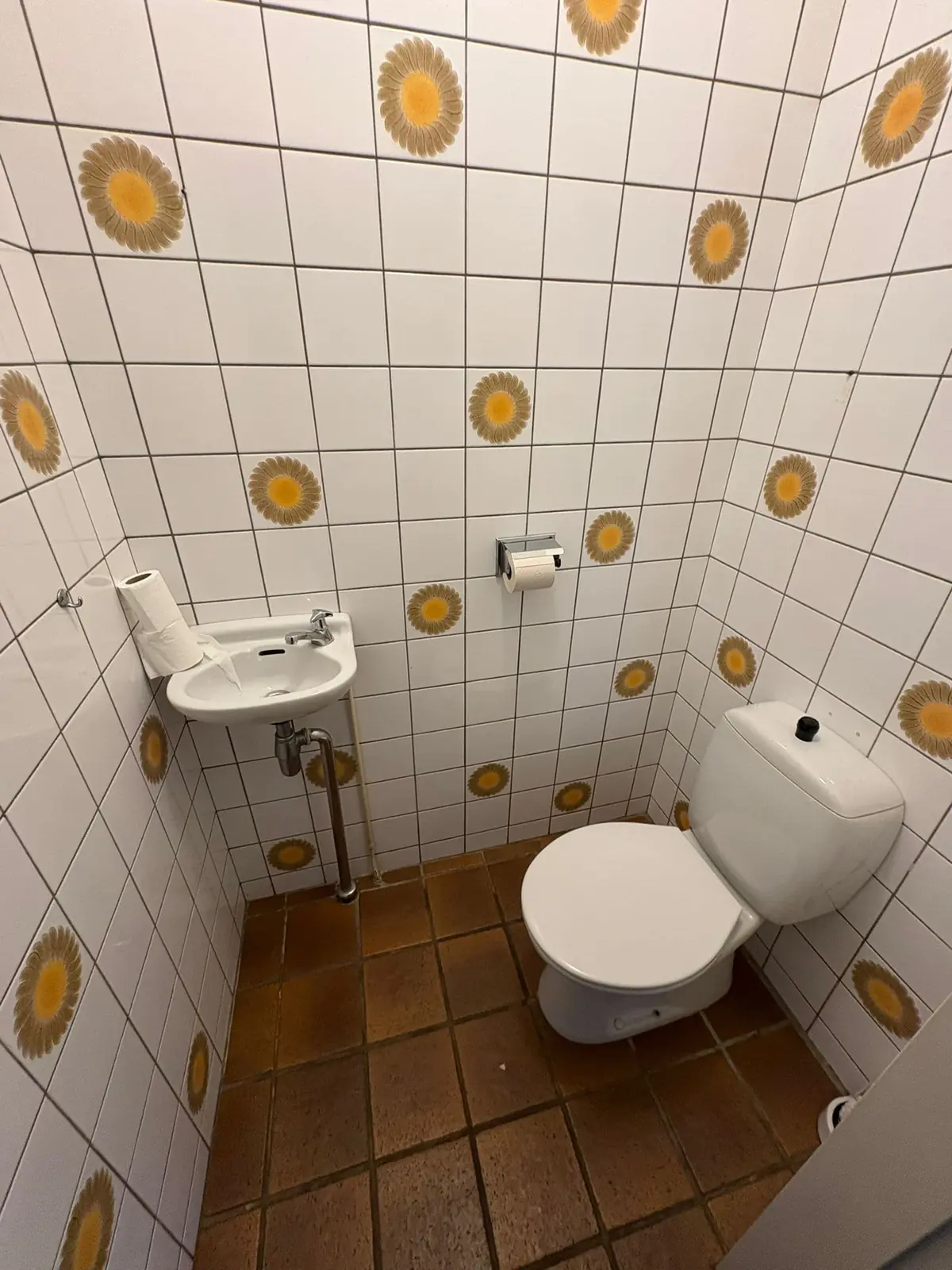 Image 3 of 7
