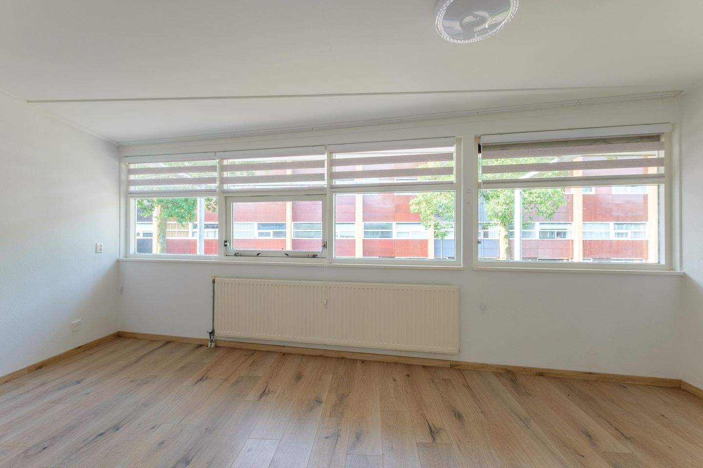 Image 19 of 24
