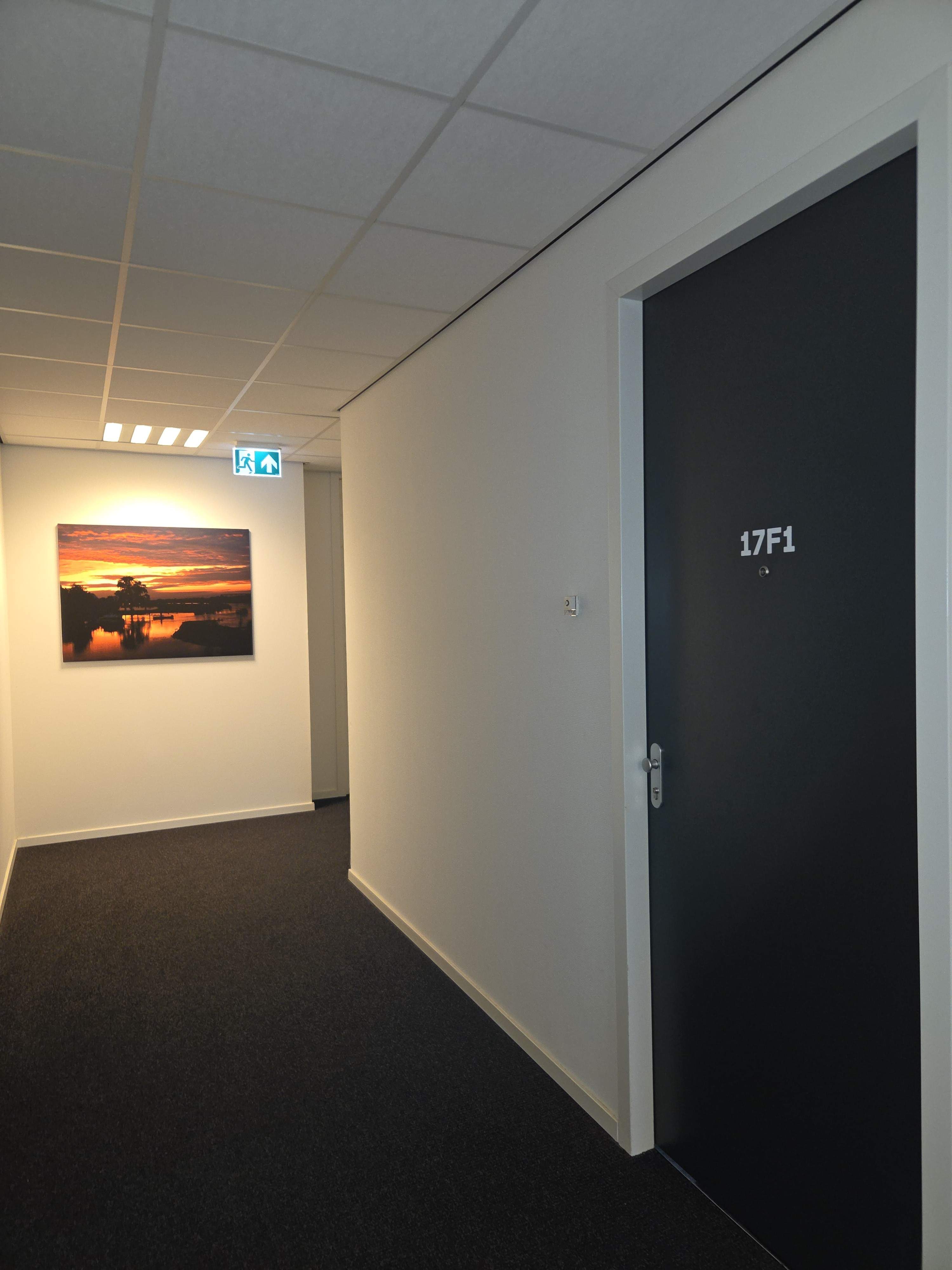 Afbeelding 3 van 13