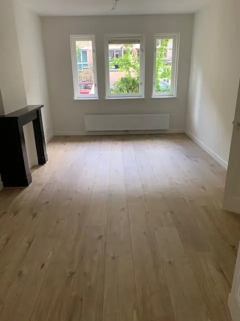 Image 10 of 12